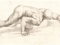 agnolo-bronzino-crawling-male-nude
