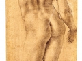 agnolo-bronzino-standing-nude-seen-from-the-rear