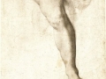 agnolo-bronzino-study-of-a-leg-and-drapery