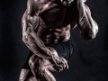 The-Beast_Mitchel-Gray