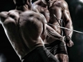 The-Swordsmen_Mitchel-Gray