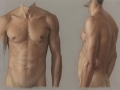 Claudio-Bravo-Male-Torso