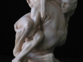 4_belardo_zygote