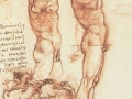 Anatomy-of-Male-Nude.jpg