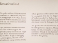 Klimt-Schiele-Picasso_Schiele13