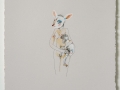 Peregrine-Honig_lamb