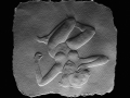Suhas-Tavkar_Nude3c